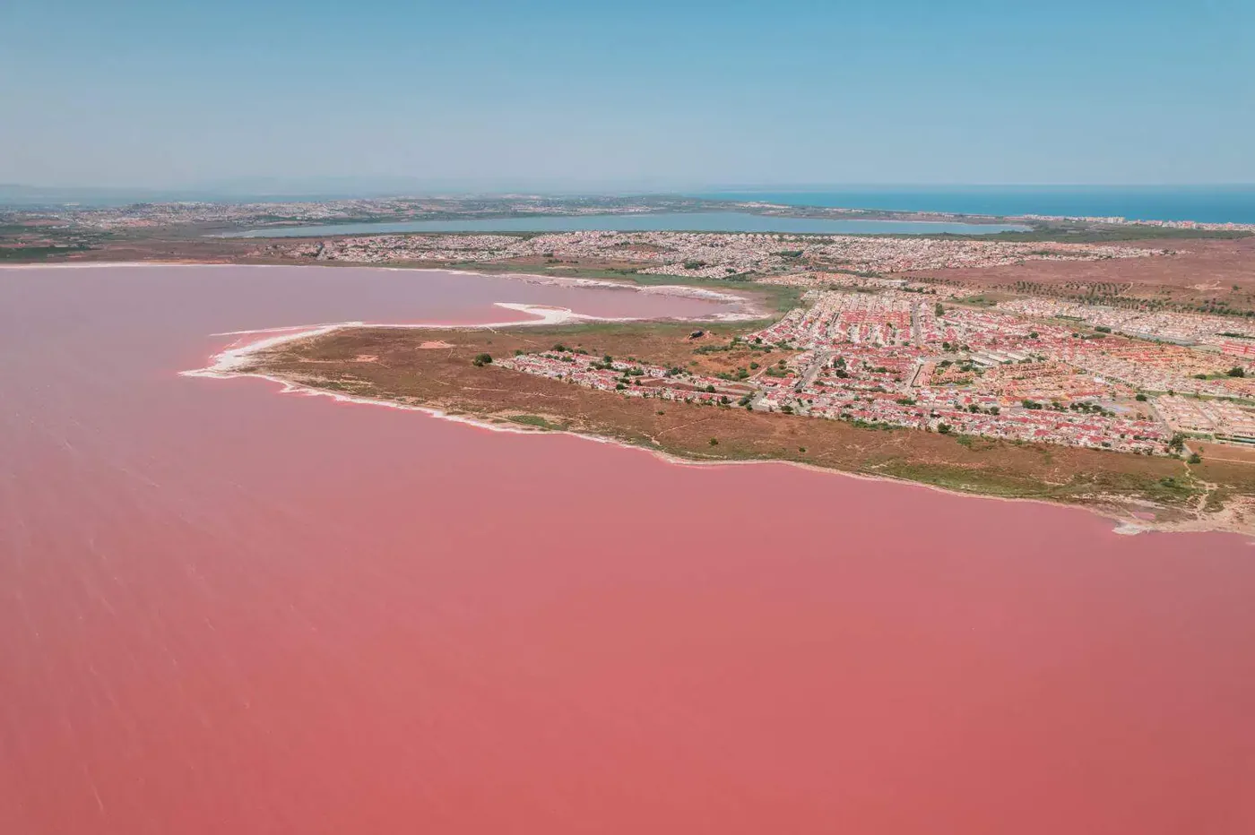 Lagunas saladas Las Salinas, Torrevieja